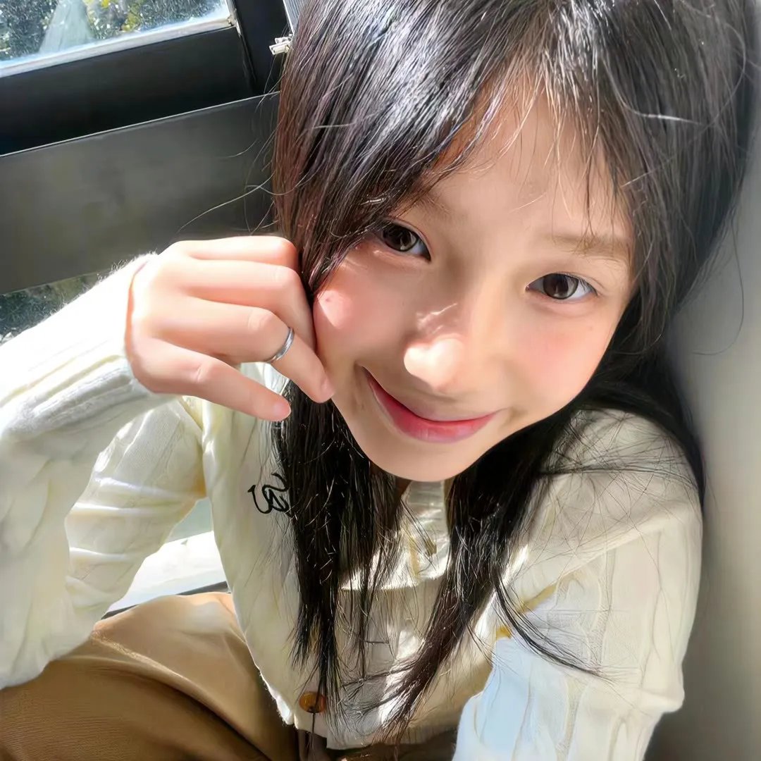 安妮·法兰克的最后七个月